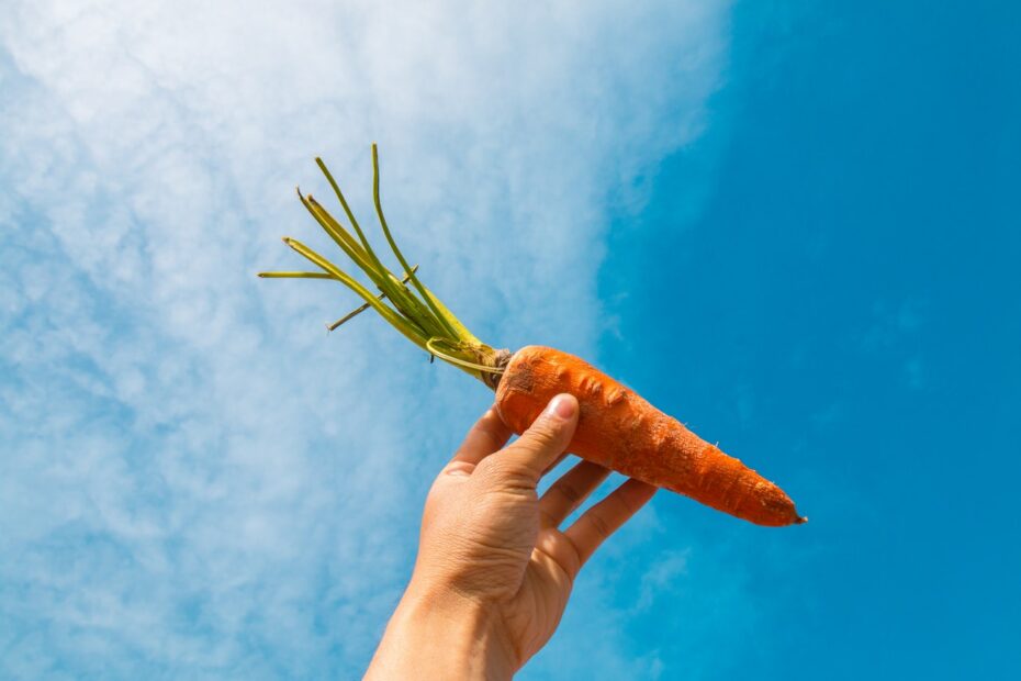 Welche Bedeutung hat Vitamin A für den Körper?